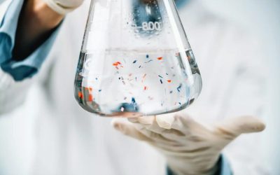 Focusing on the growing fertility epidemic: Study shows microplastics exposure is a primary culprit