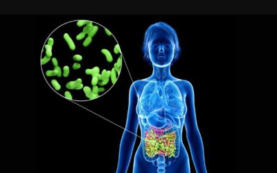 Microbiome importance: Study links poor gut health to stunted growth in children
