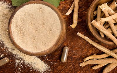 Ashwagandha: twin studies highlight stress relief and energy production benefits