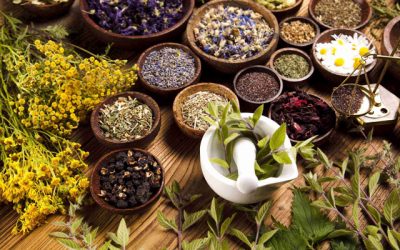 The current war on natural medicine is also an ancient war