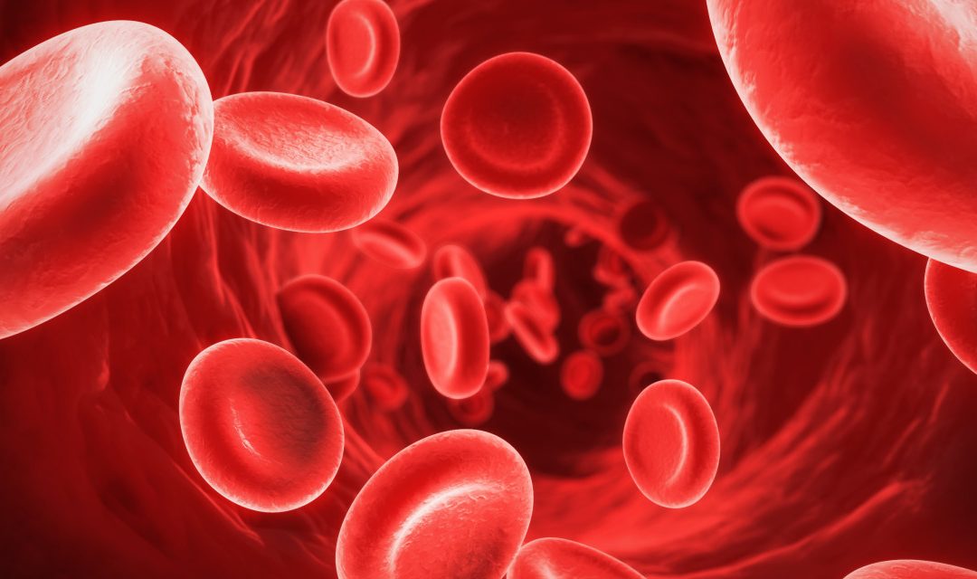 Iron Supplements Increase Cancer Risk UNLESS…