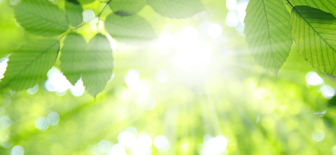 Research Proves Vitamin D in Optimal Longevi-D-K2 Helps Ease Depression