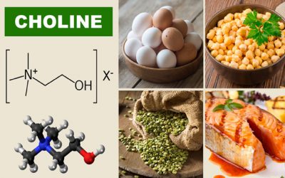 Studies from Arizona and China underscore choline for brain health