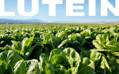 Lutein intake by mothers linked to better child behavior