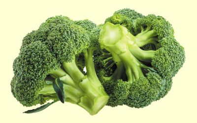 Why broccoli is called The Vegetable Queen—and is used in whole food supplements