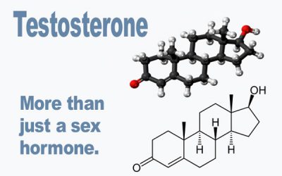 Testosterone—important to men’s health in a number of ways