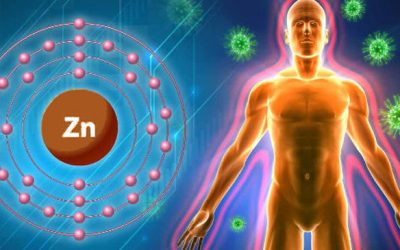 Zinc level dramatically affects cardiac health, according to German study