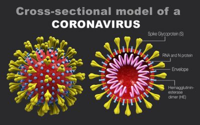 Vitamin C—just a vitamin in the US, but a treatment for coronaviruses in Asia