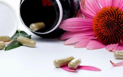 Five studies proving Echinacea is a potent immune building nutrient