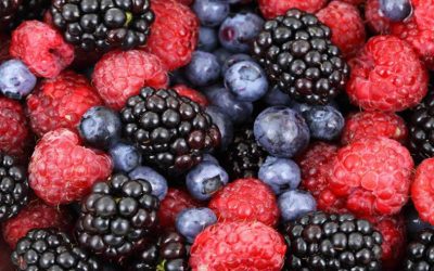 Low intake of flavonoid-rich foods linked with higher Alzheimer’s risk over 20 years