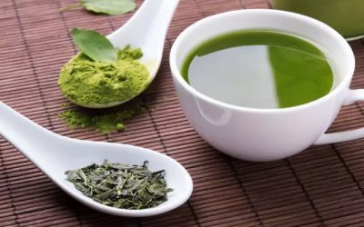 New Chinese study affirms cholesterol-lowering benefits of green tea