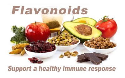 Flavonoids help reduce blood pressure–especially when gut health is optimized