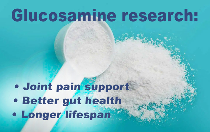 research on glucosamine