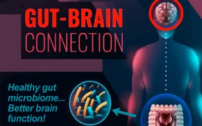 Healthy gut bacteria makes the brain ‘younger’ according to Irish study