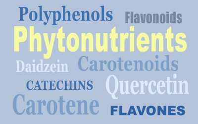 Phytonutrient… Polyphenol… Flavonoid. What are the differences? A quick primer.