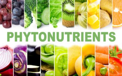 Phytonutrients reverse cell damage in one study, lower all-cause mortality in another study