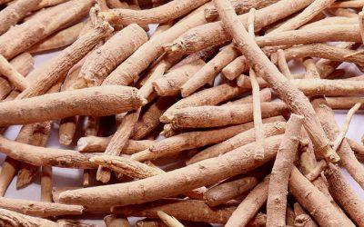 Ashwagandha may be the herb that “smells like a horse”—But research shows it can also make you as healthy as one