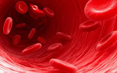 Importance of NAD highlighted with new study linking low level to anemia