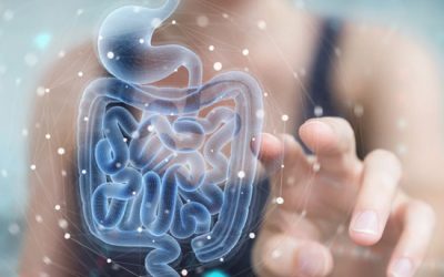 Can Your Gut Control Your Cravings? Science Says Yes￼