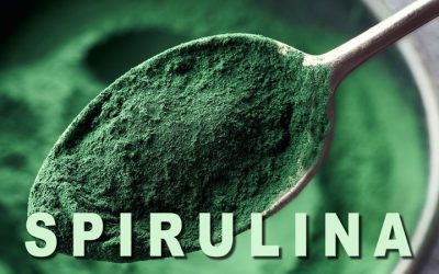Spirulina boosts immune function in study on elite athletes