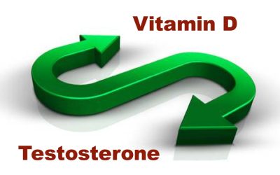 New study builds on existing evidence linking Vitamin D to testosterone health