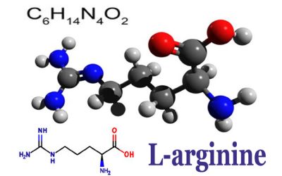 Amazing diversity: L-arginine supports heart health, erectile dysfunction… and now Long Covid