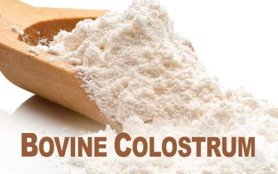 Colostrum’s respiratory infection benefit includes young adults, new study finds