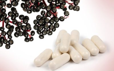 Elderberry and probiotics combo improves health in many ways, says new study on airline crews