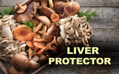 The mushroom benefit you probably missed: protection from toxins