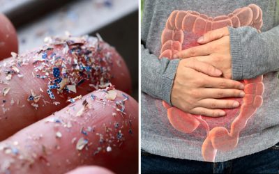 Probiotics offset toxicity in the gut caused by microplastics, new review finds