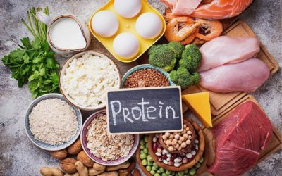 What percentage of your diet should be protein? According to new research, over 20% is too much