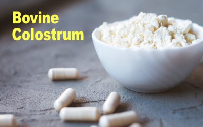 Colostrum boosts immune system and helps maintain athletic performance, Polish study finds