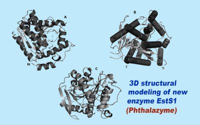 Study shows new enzyme can destroy or degrade phthalates and other harmful substances