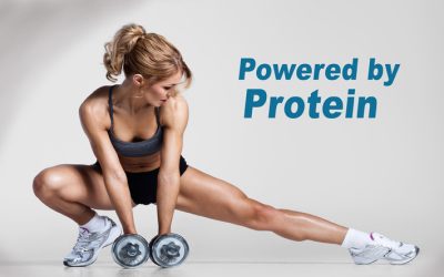 Protein shakes enhance muscle strength when starting an exercise program, study finds