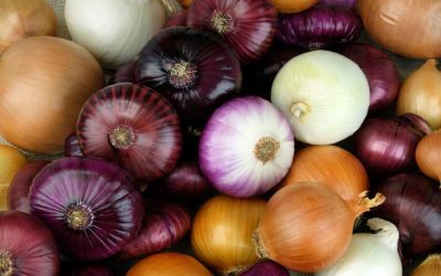 Quercetin and anthocyanin—the flavonoid duo that make onions a cancer-fighting superstar