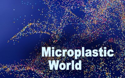 From heart to brain: Evidence mounts regarding damage microplastics cause to human body