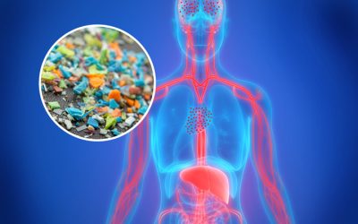 News media says there’s no way to remove microplastics from the body—research says otherwise