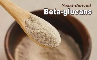 Studies say: Bet on beta-glucans for immune support