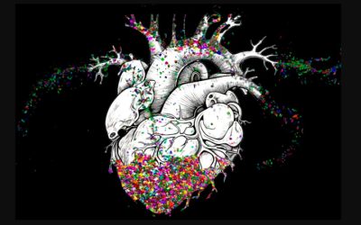 As studies mount, researchers estimate microplastics contribute to 356,000 annual heart disease deaths