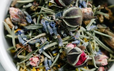 Calm Your Body, Calm Your Mind: Herbs that Support Both