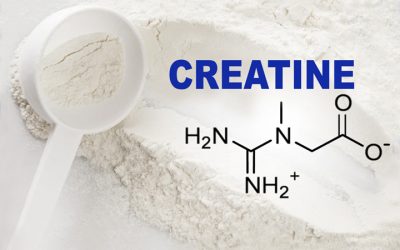 Creatine research broadens – muscle growth, energy promotion and cognitive support