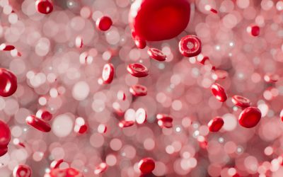 Can Microplastics Get Into the Bloodstream? Understanding the Risks