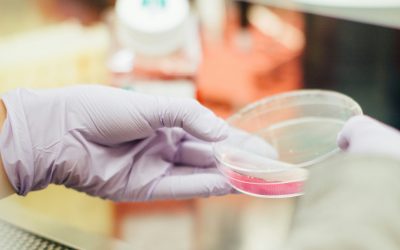 Are Microplastics in Your Blood? What the Latest Science Says