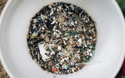 The Hidden Impact of Microplastics on Hormones and Immunity
