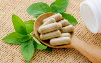 Green tea and Vitamin B3: New study highlights powerful nutrient synergy for brain support